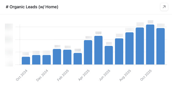 Structured interview process with the Planeco founders
